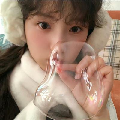 小象守护者
